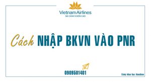Hướng dẫn cách nhập BKVN vào PNR